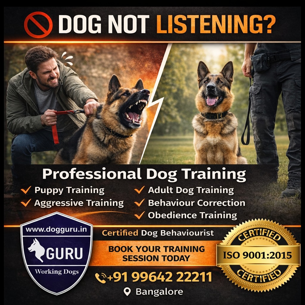 Amrut Dogguru Adult dog training centre Facebook ad from Apr 4, 2026