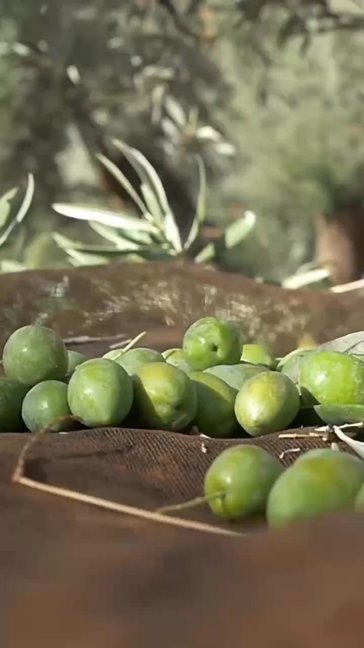 egeden zeytin market Facebook ad: Egeden Gurme Zeytinyağı ile doğallık sofranızda!