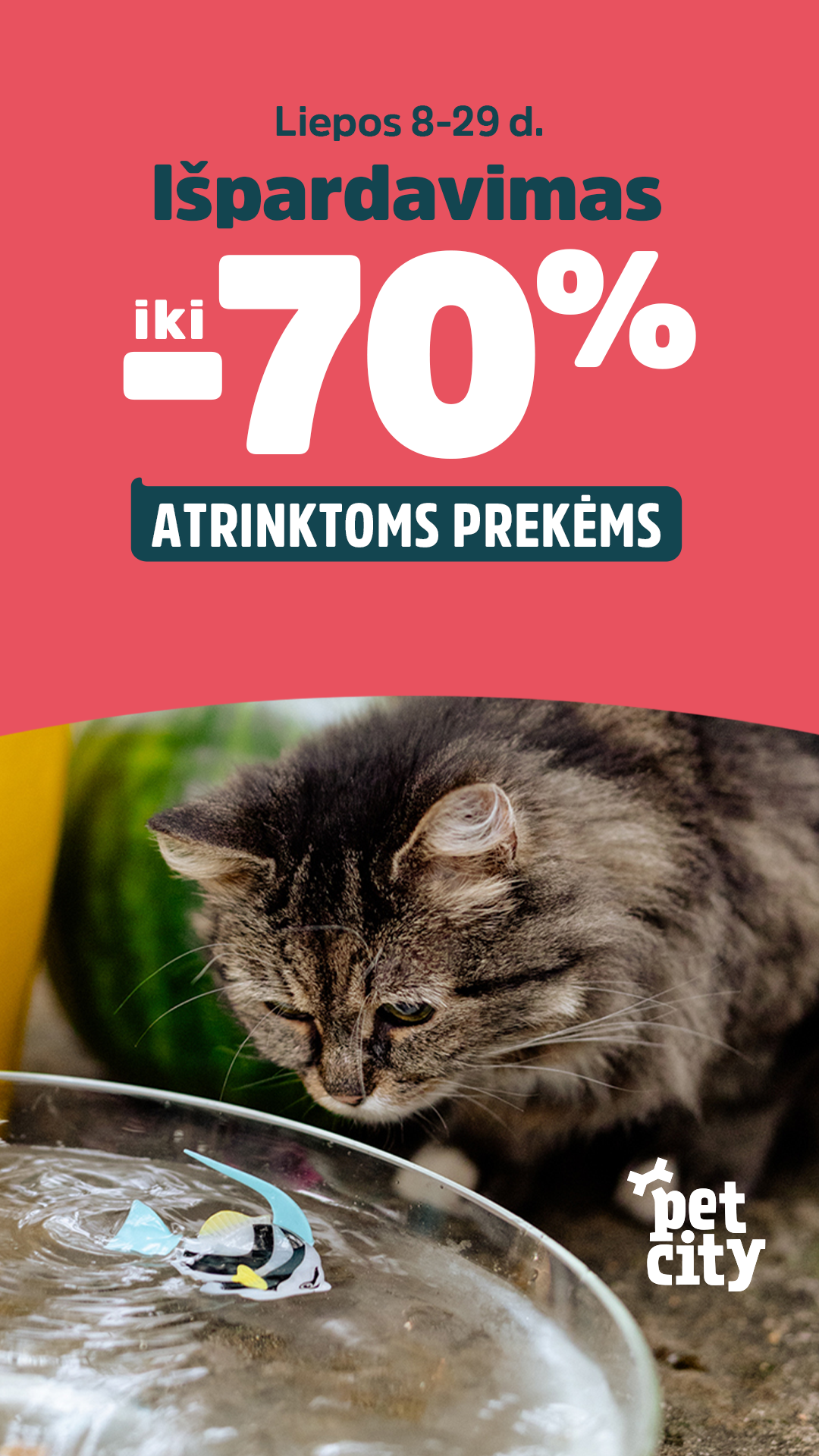 PetCity Lietuva Facebook ad