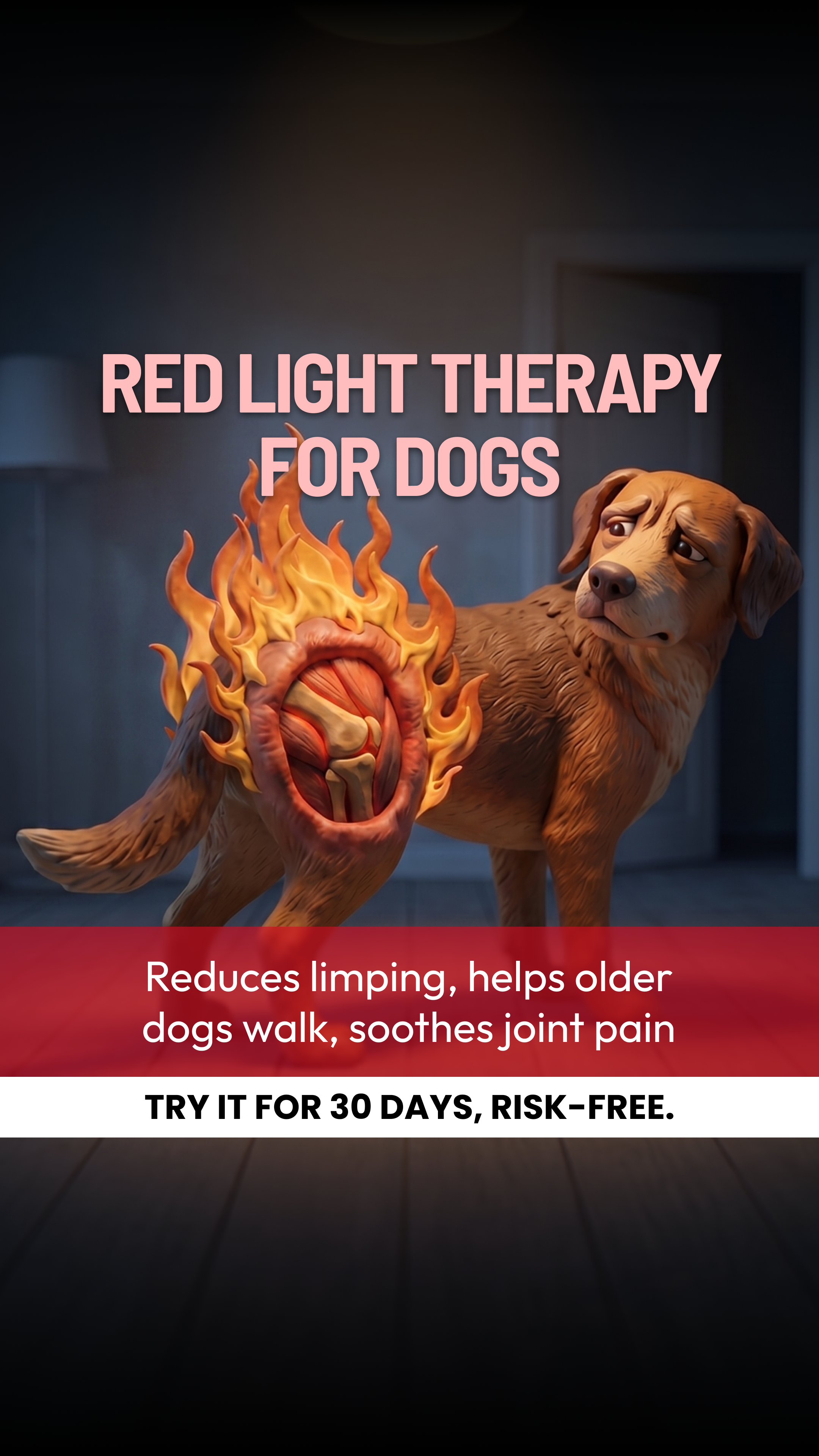 Helio Pet Facebook ad