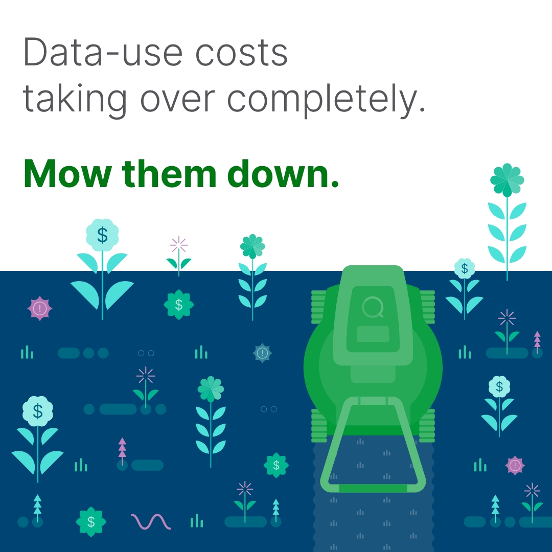 Qlik Facebook ad