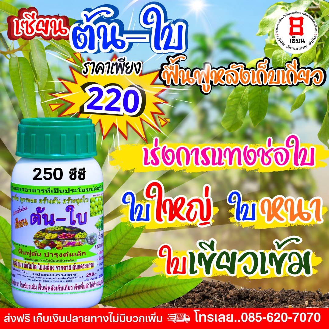8เซียน Sienkaset 085-6207070 Facebook ad