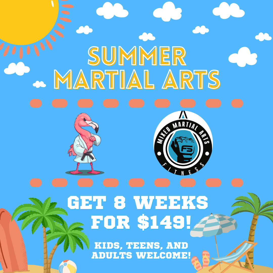 FS Mixed Martial Arts and Fitness Facebook ad