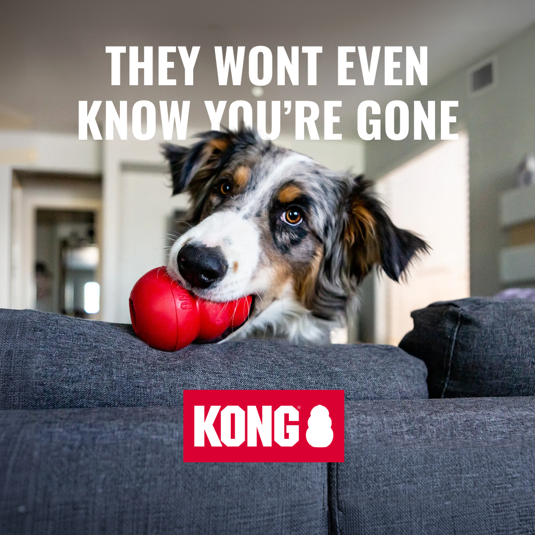 KONG Facebook ad