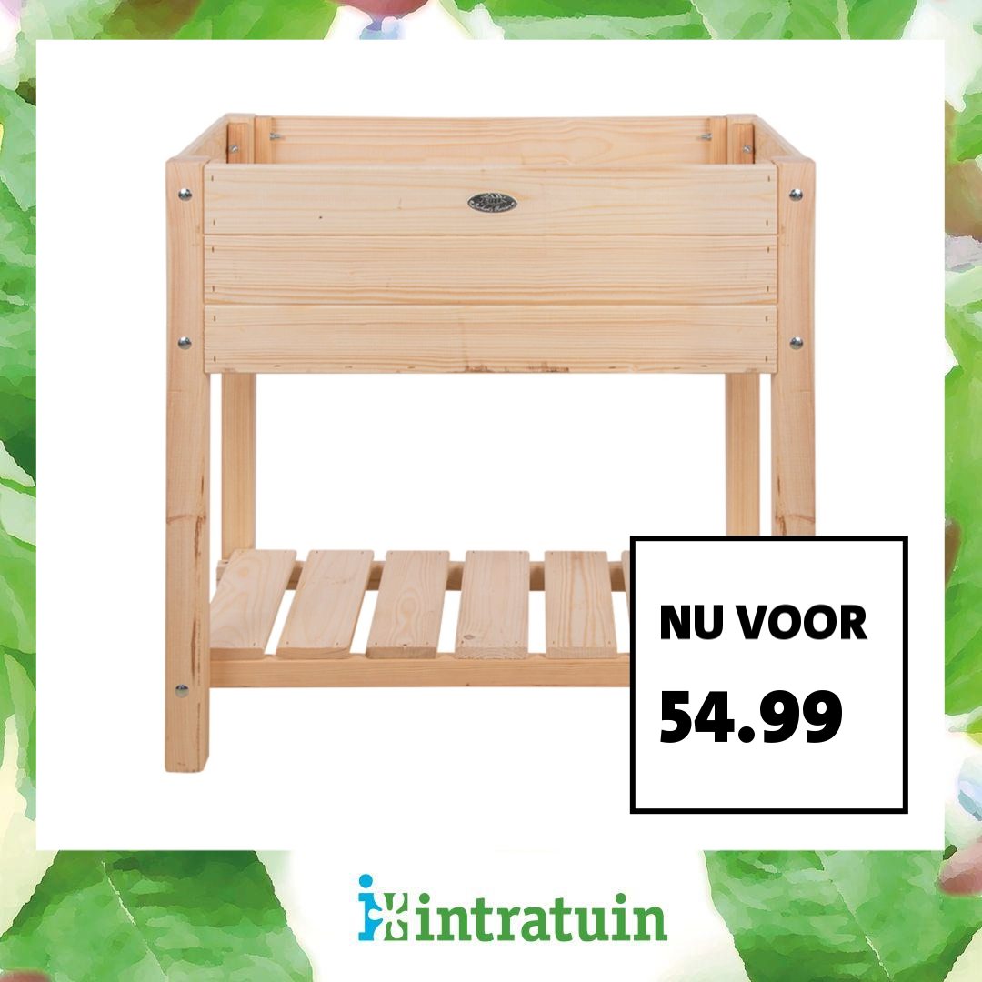 Intratuin Facebook ad