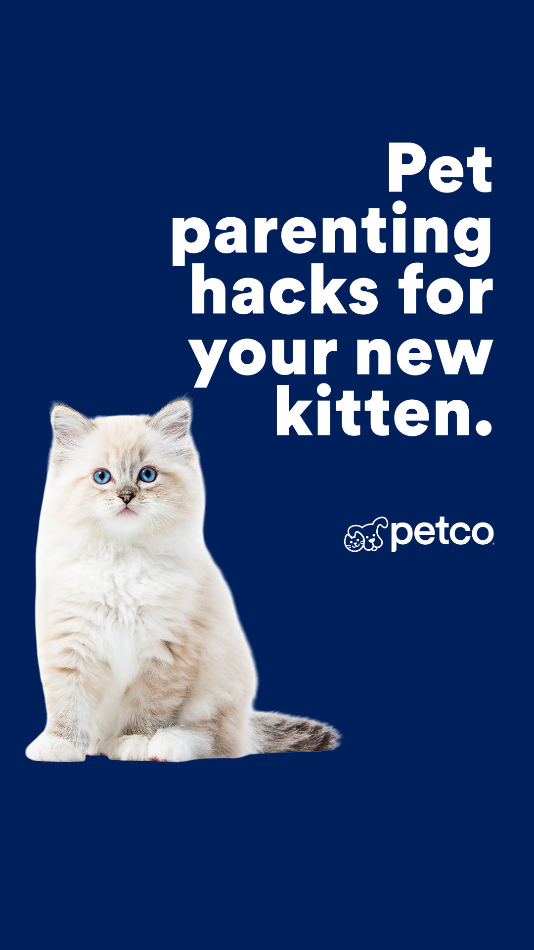 Petco Facebook ad