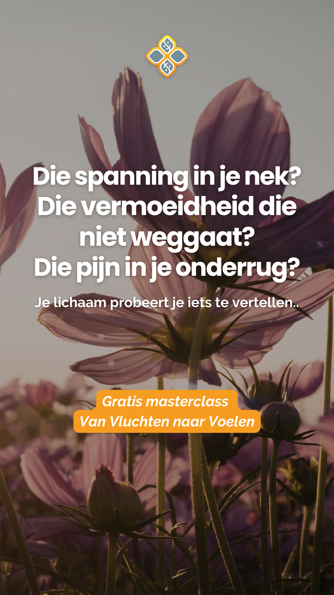 Hylke Bonnema Facebook ad