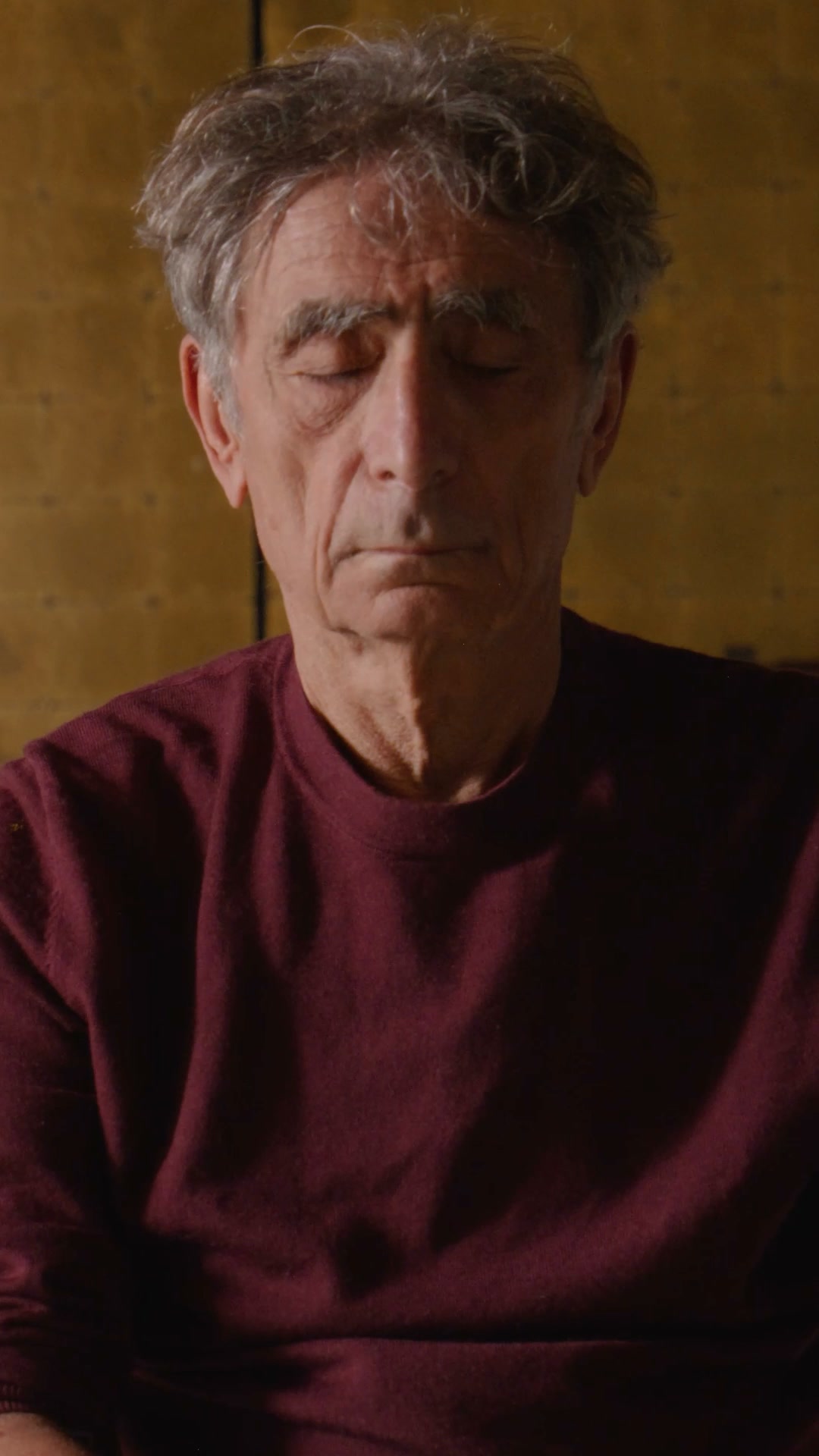 MentorShow World Facebook ad: Program HEAL with Gabor Maté, Bessel van der Kolk, Paul…
