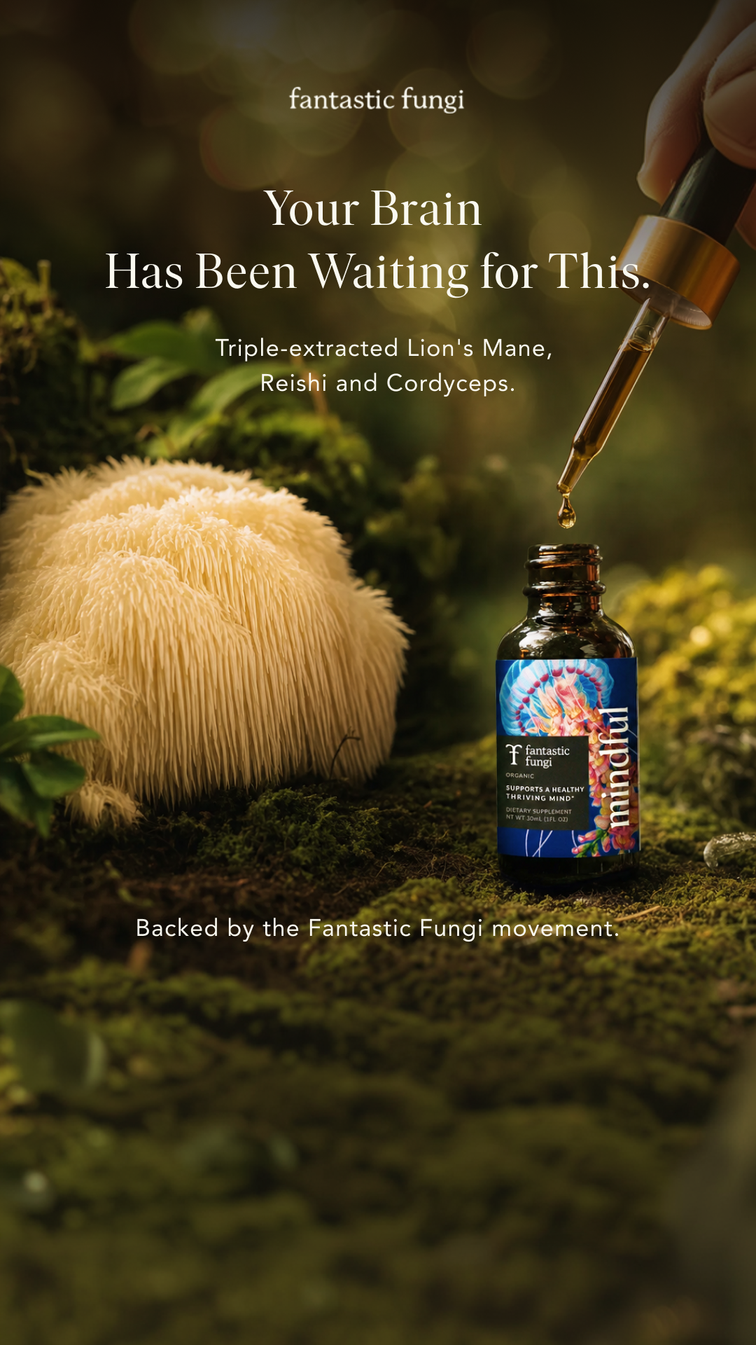 Fantastic Fungi Facebook ad