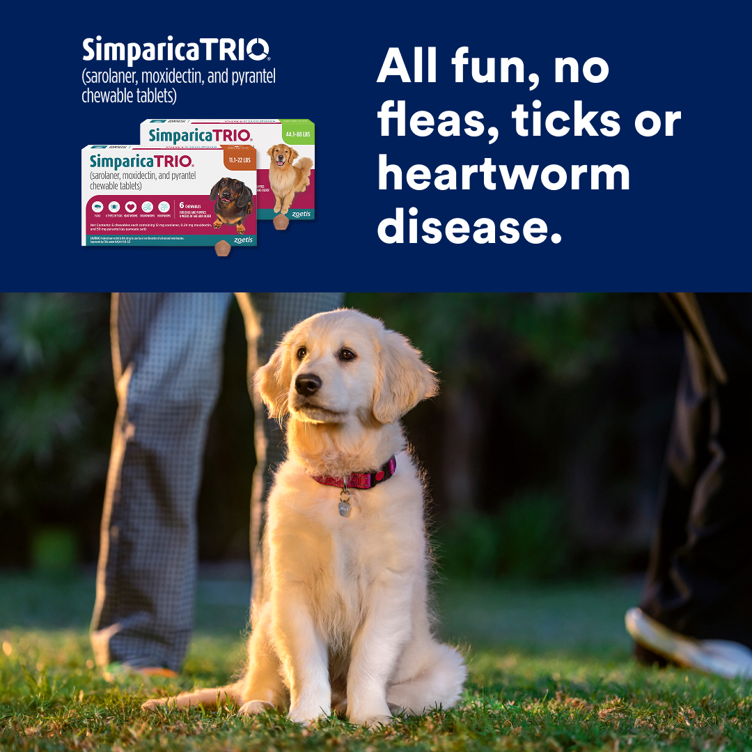 Petco Facebook ad