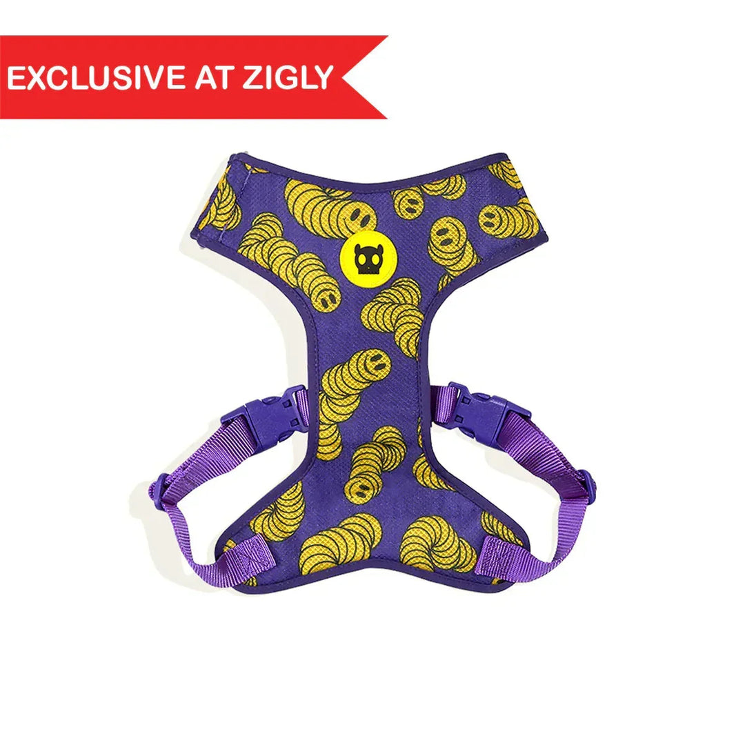 Zigly Facebook ad: Walk Time? No, It’s Zee.Dog Time!