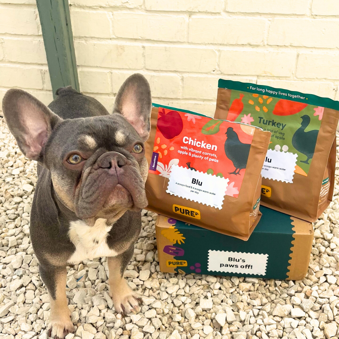 Pure Pet Food Facebook ad