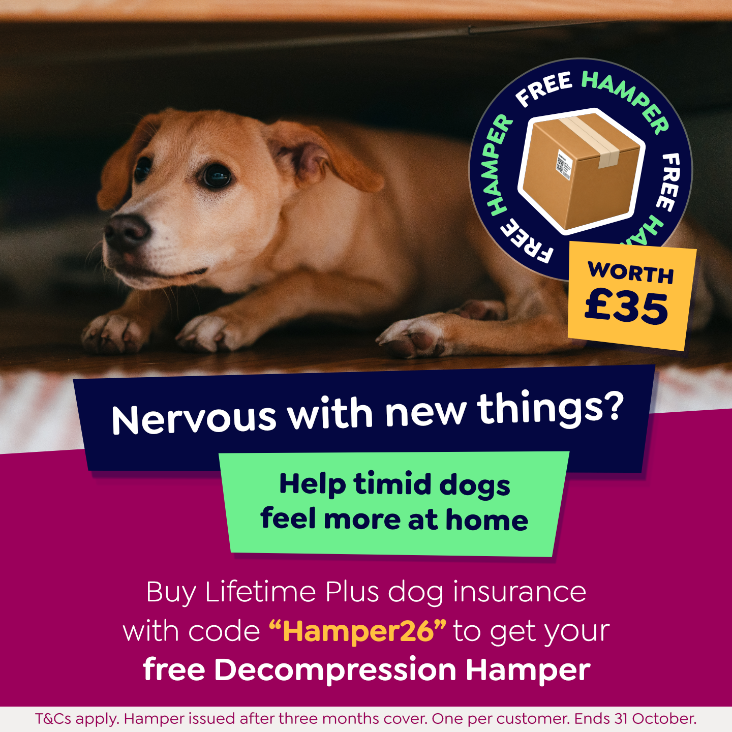 Petgevity UK Facebook ad: The right treat with the right cover