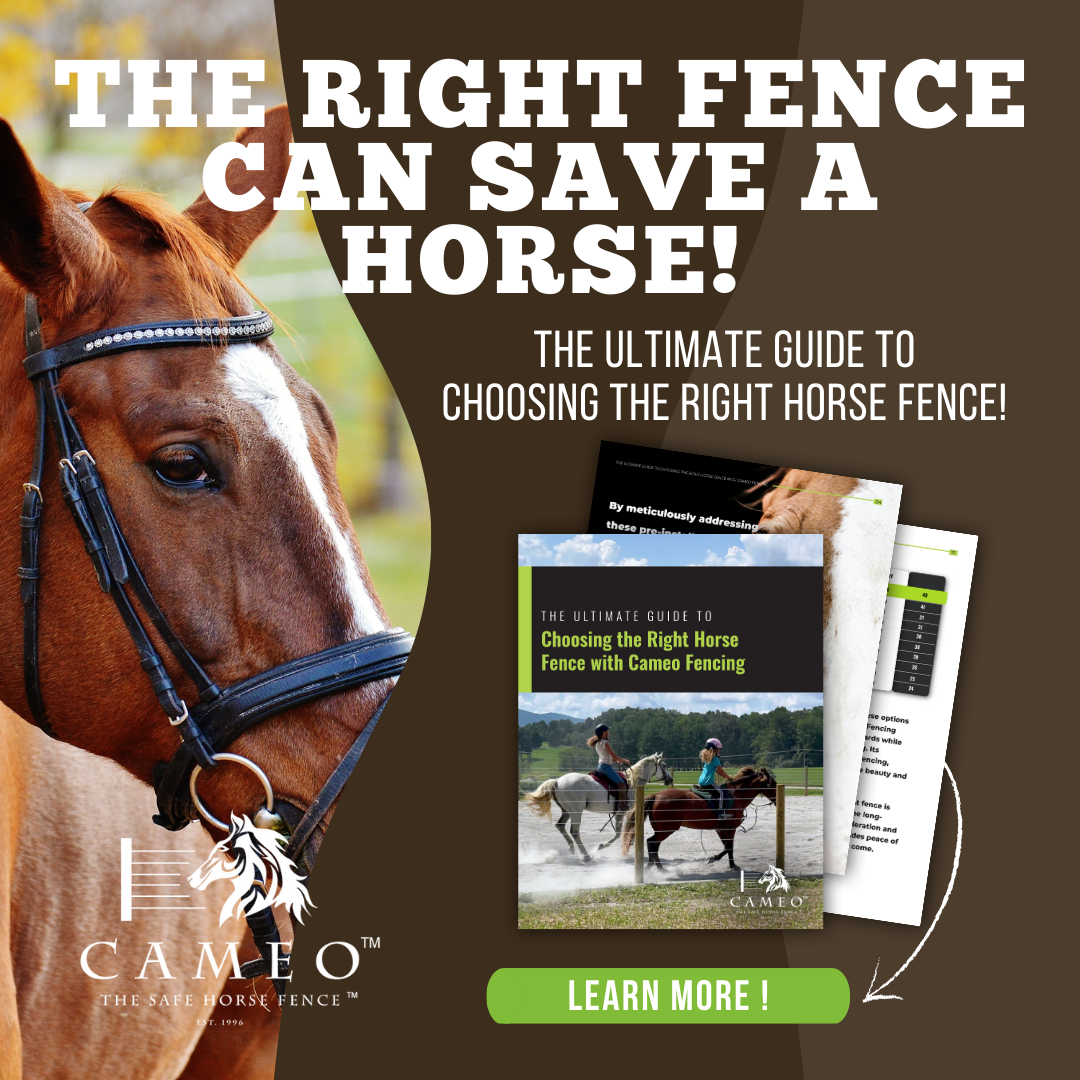 Cameo Fencing: The Safe Horse Fencing System Facebook ad from Mar 1, 2026