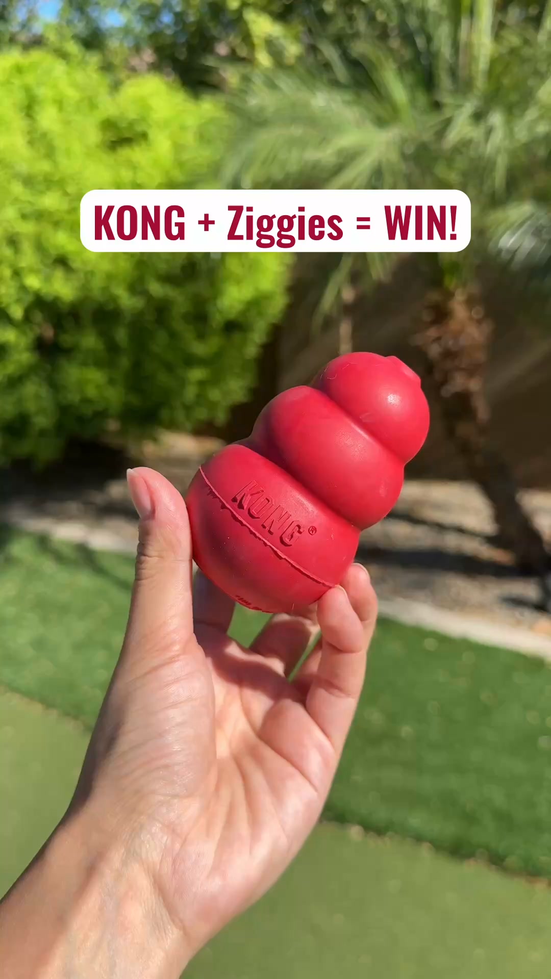 KONG Facebook ad: The Combo Dogs Can't Resist