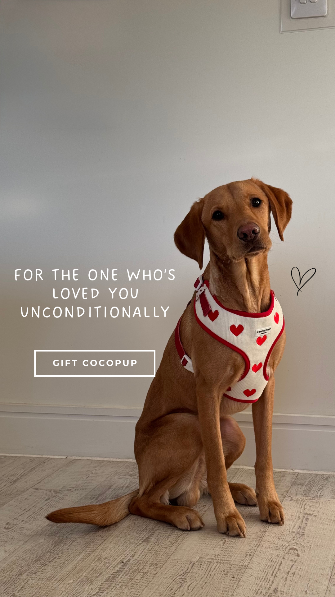 Cocopupuk Facebook ad
