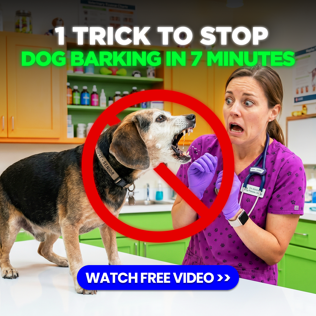 Mike James Dog Training Facebook ad