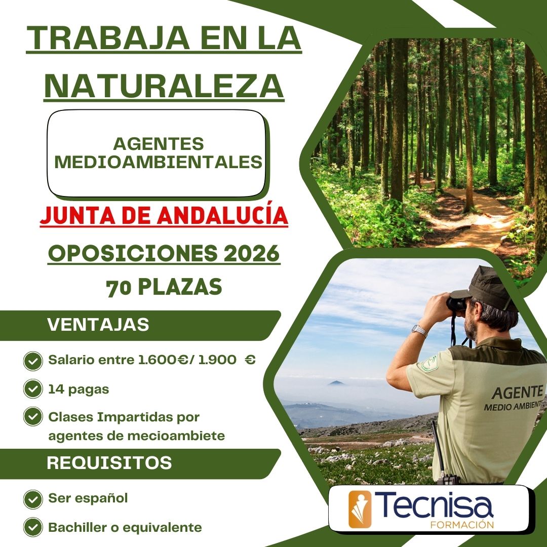 Tecnisa Formación Facebook ad: Pide Información Aquí
