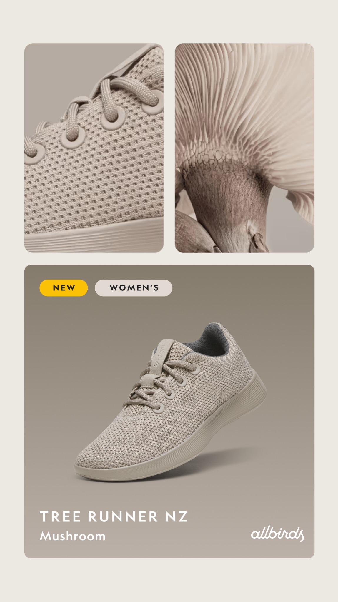 Allbirds New Zealand Facebook ad