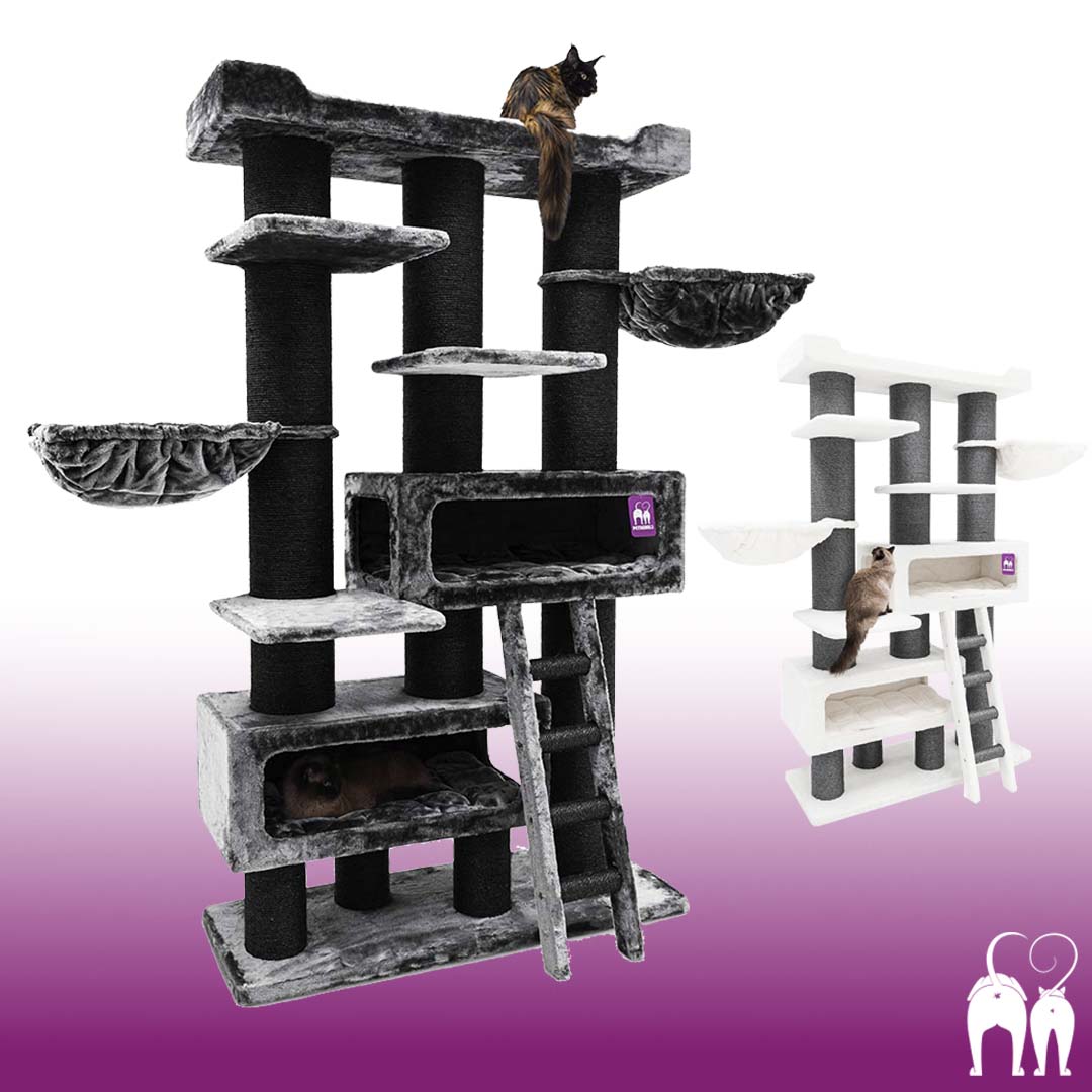 petrebels.com Facebook ad