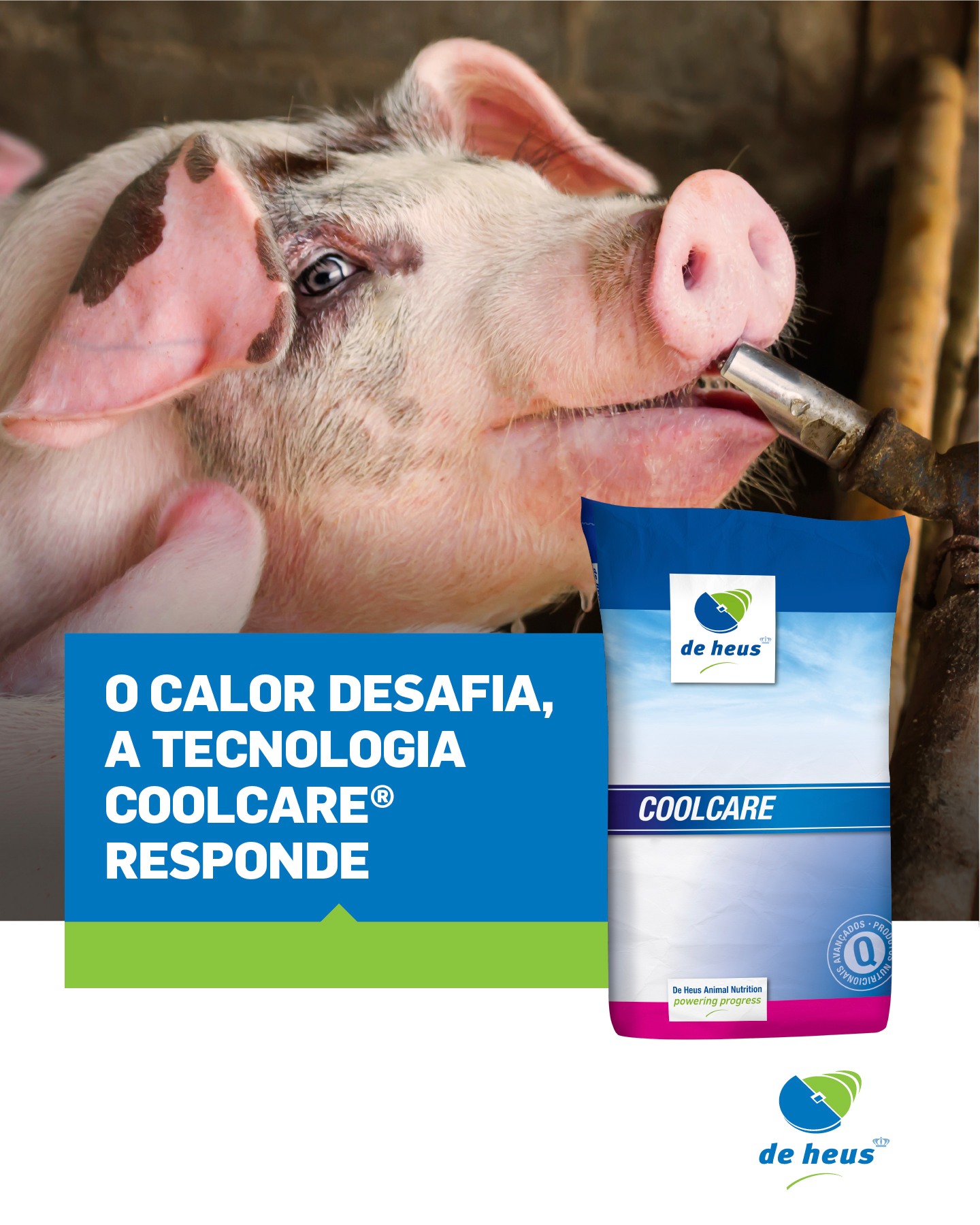 De Heus Brasil Nutrição Animal Facebook ad: Produzir mais e melhor - e com os…