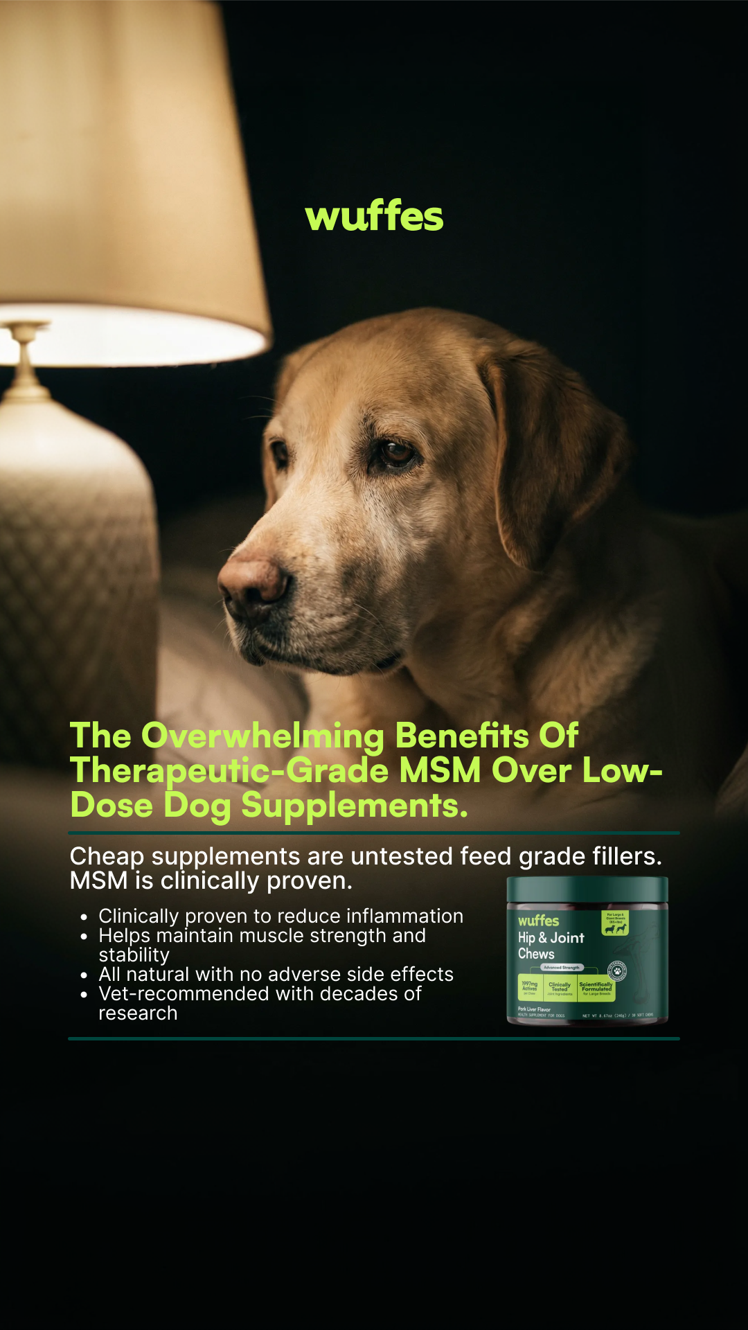 Everyday Pet Health Facebook ad
