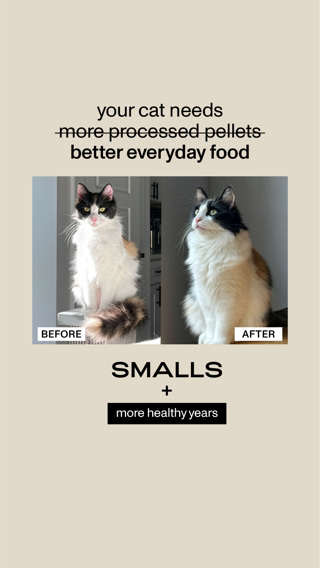 Smalls Facebook ad
