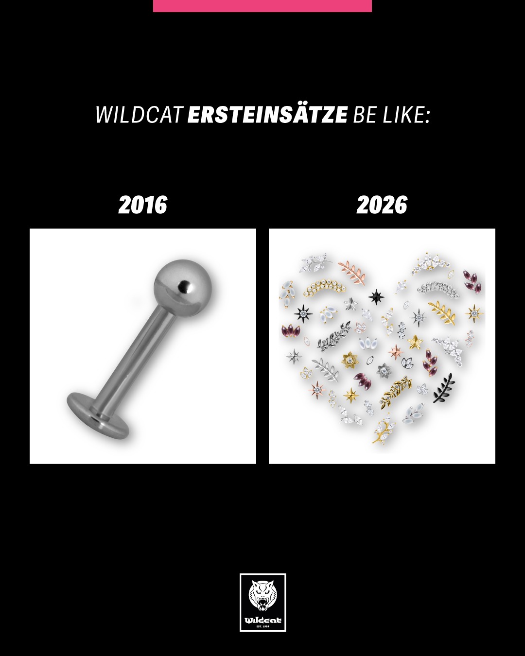 Wildcat Facebook ad: 𝟐𝟎𝟏𝟔 𝐯𝐬 𝟐𝟎𝟐𝟔.