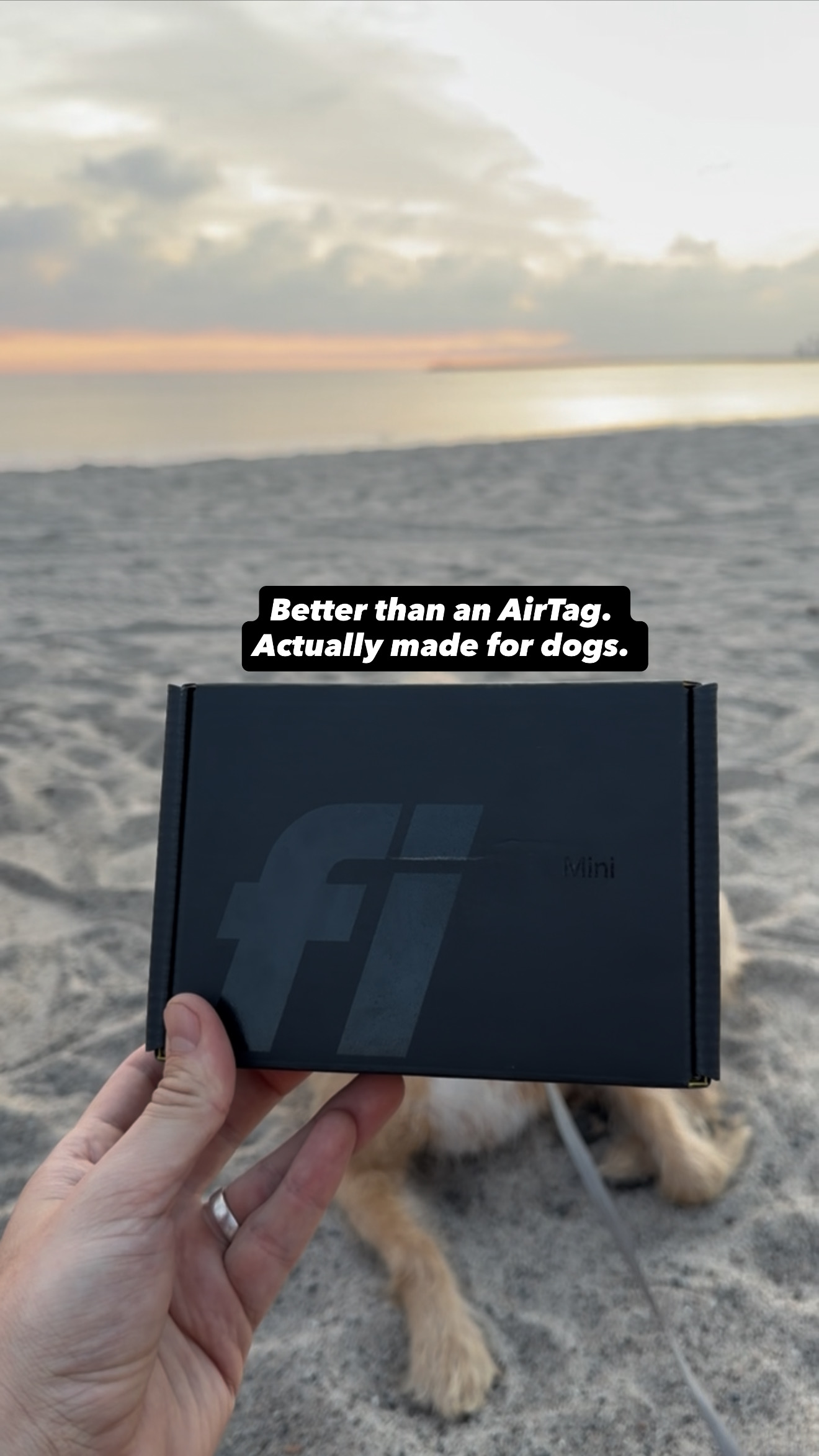 Fi Facebook ad
