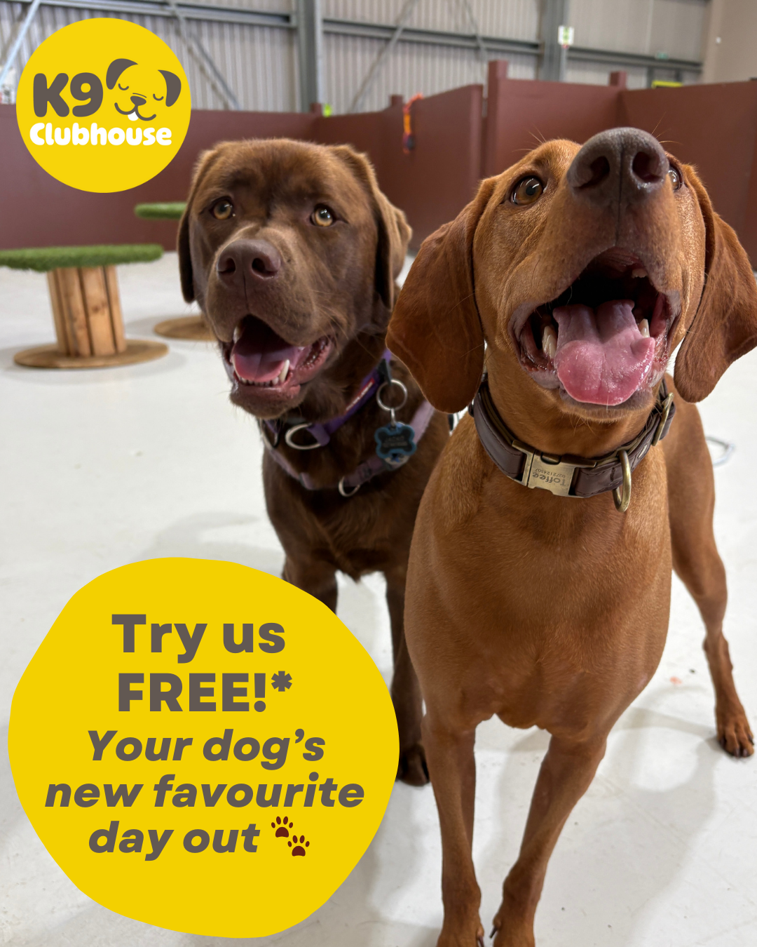K9 Clubhouse Facebook ad from Jan 23, 2026