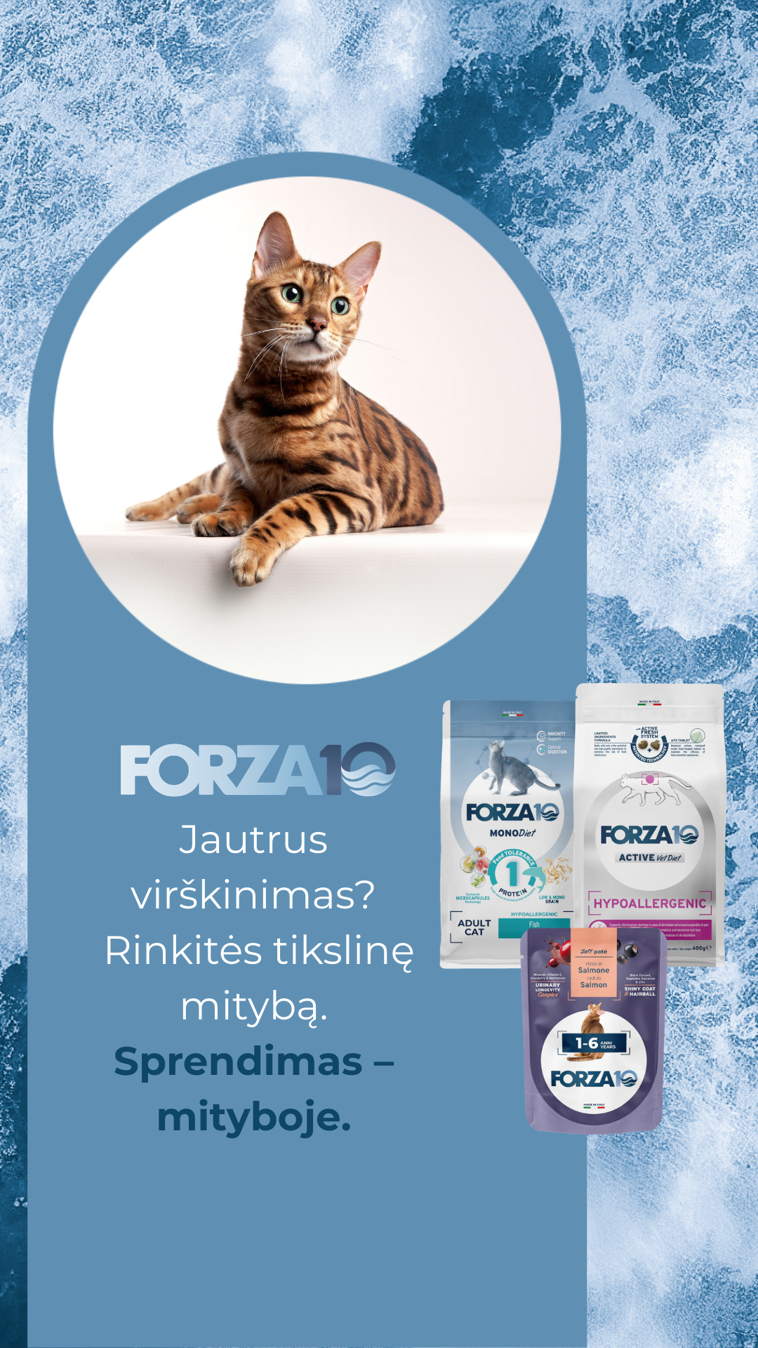 Forza10 Lietuva Facebook ad