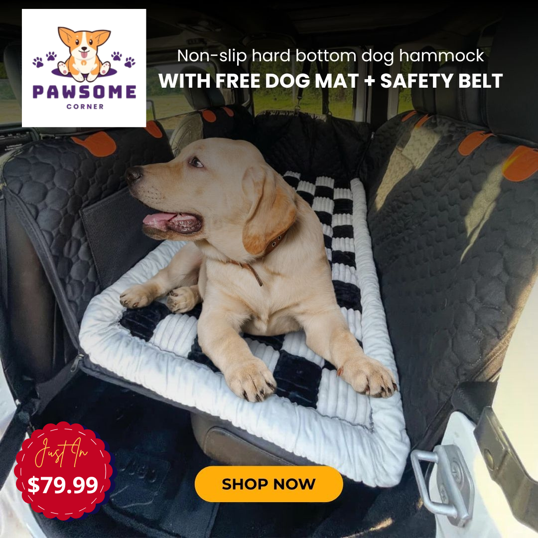 Paw Some Corner Facebook ad: FREE DOG BED +FREE BELT