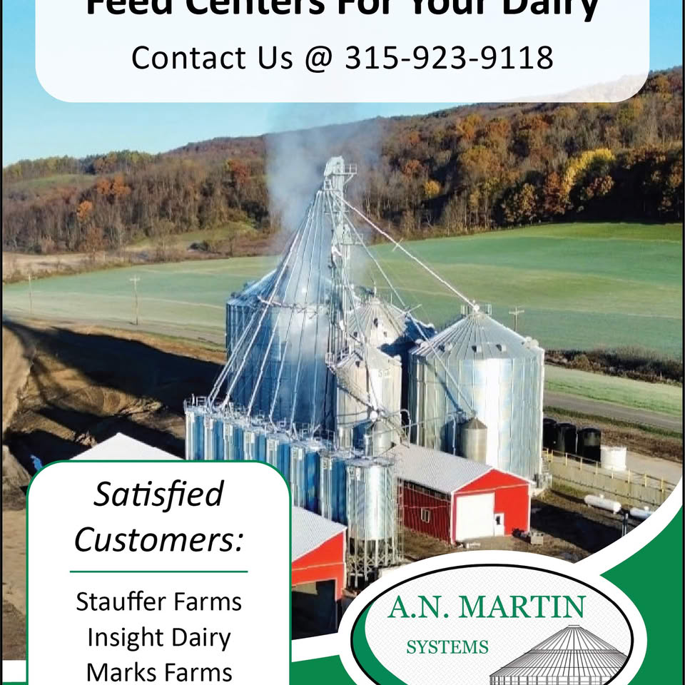 AN Martin Systems LLC. Facebook ad: Business