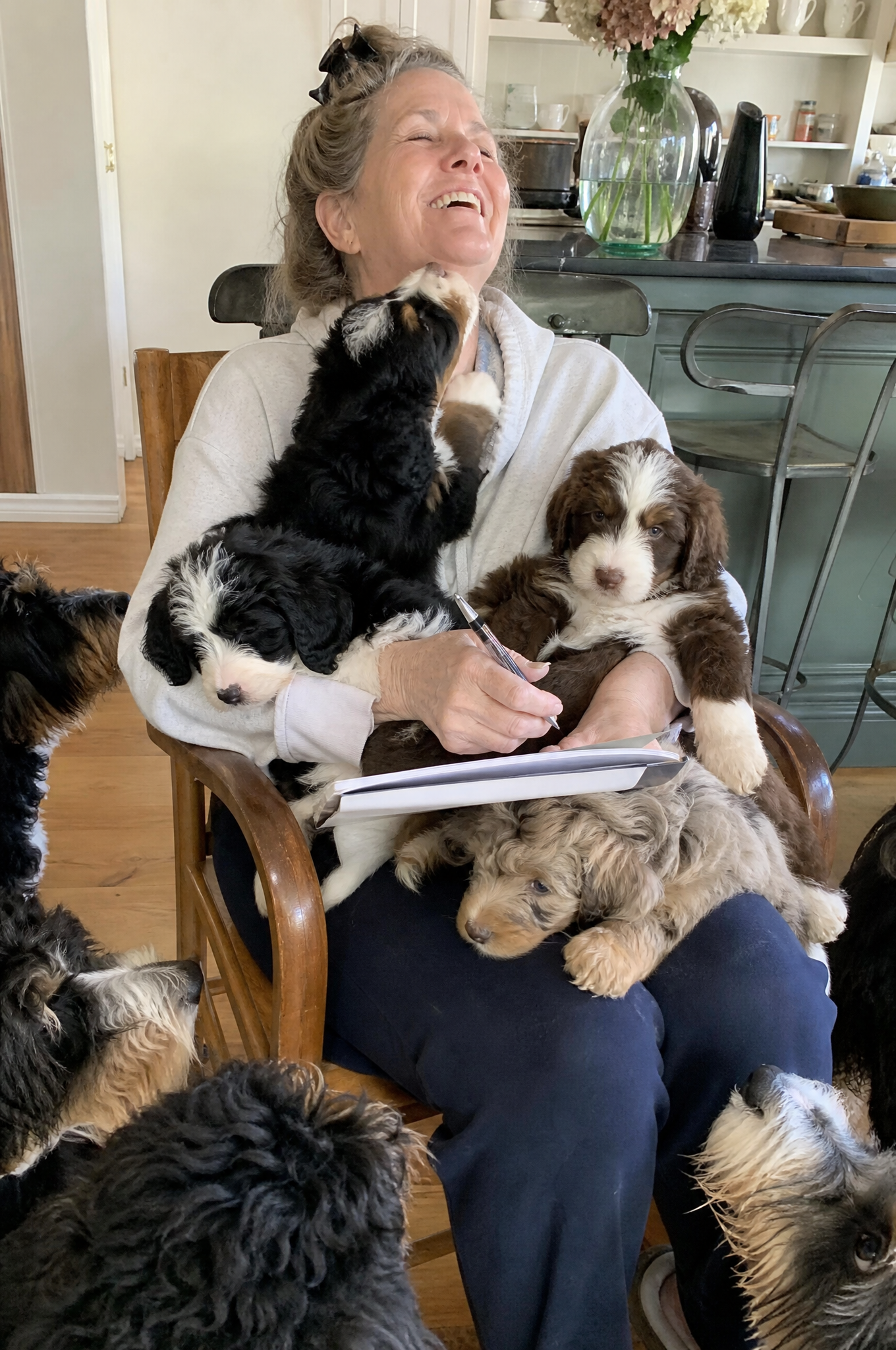 Dog Training Tips & Support Facebook ad