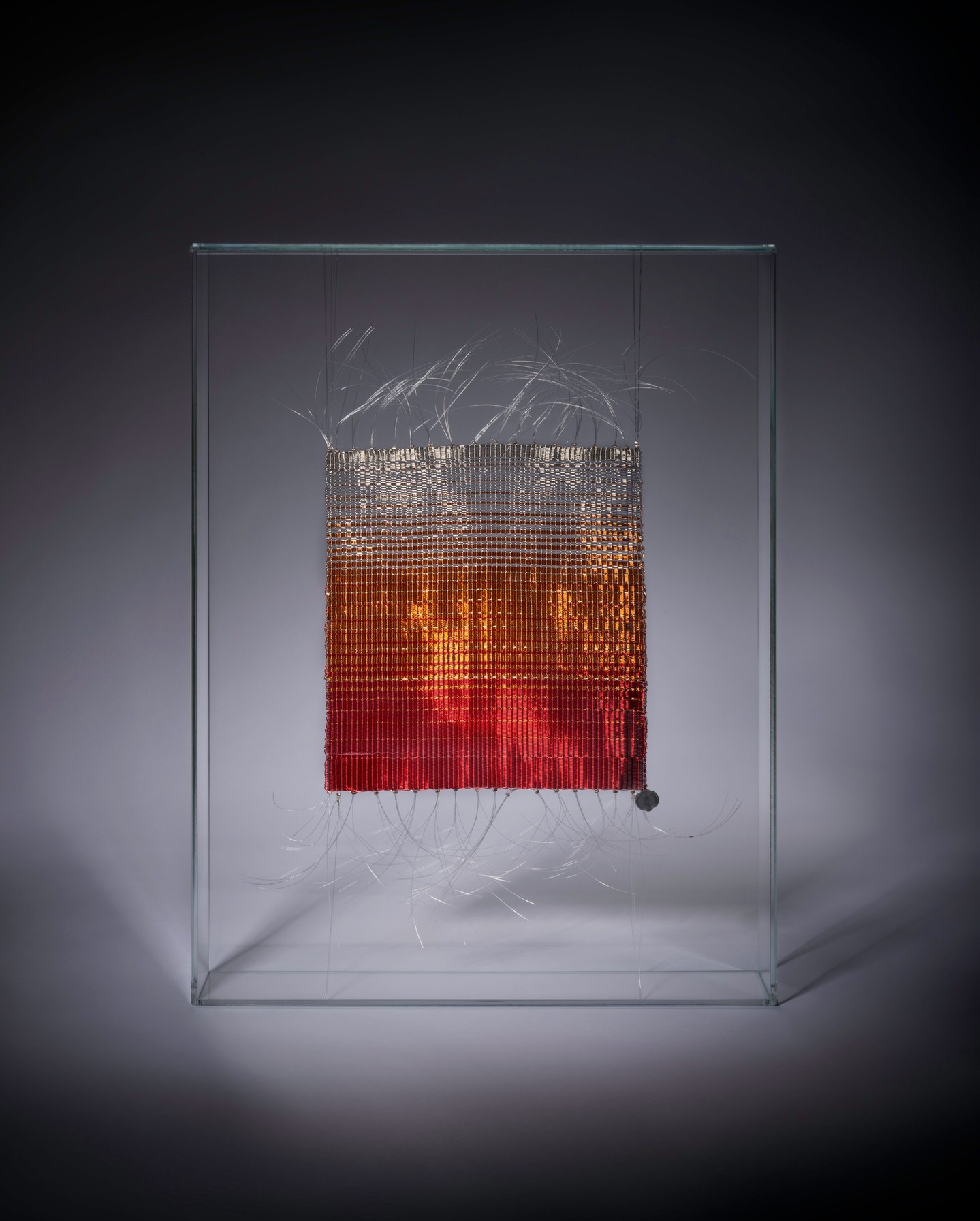 Sophie Mallebranche Facebook ad: TWILIGHT, Now on Artsy