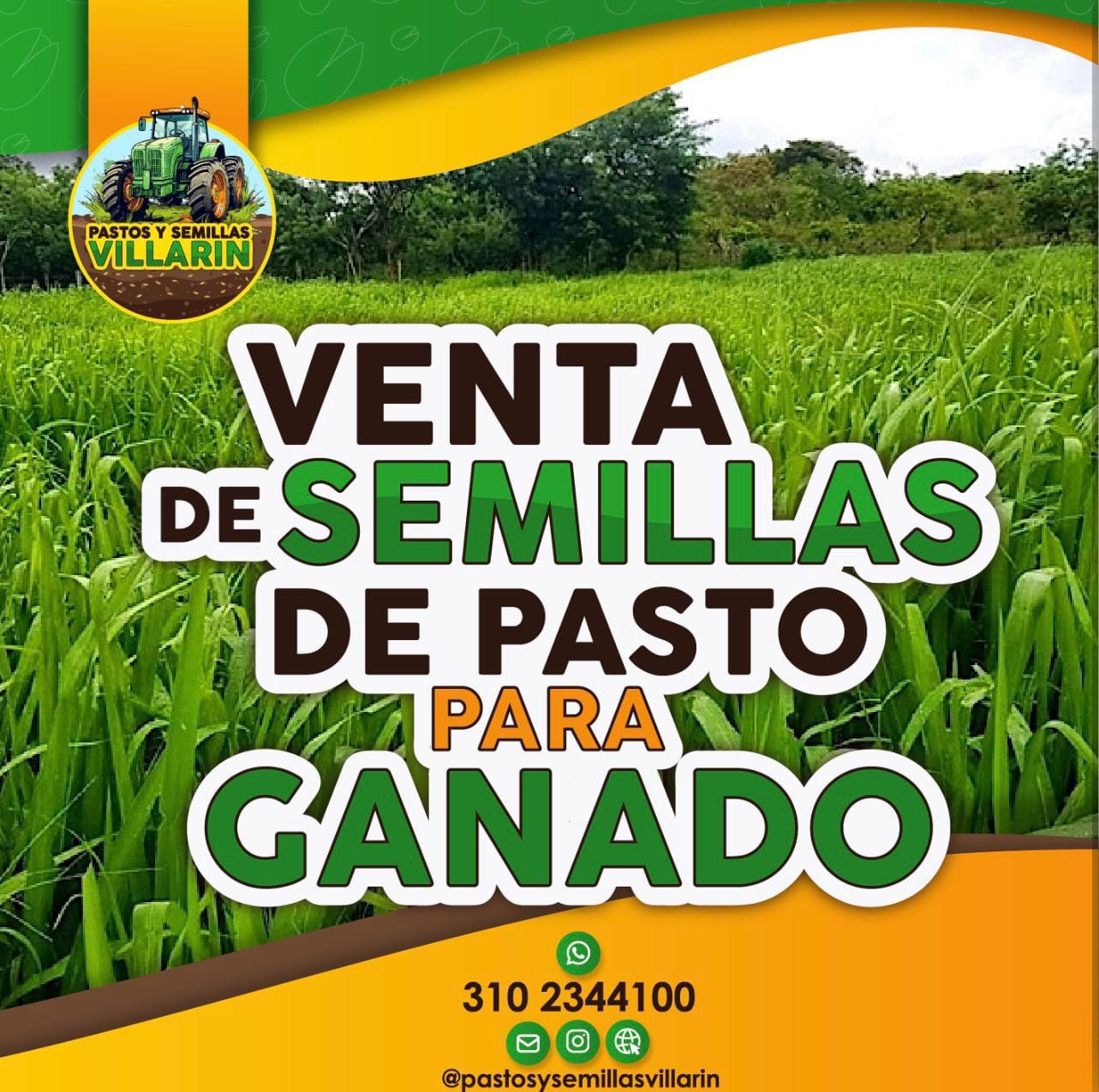 Pastos y Semillas Villarin Facebook ad from Oct 18, 2025