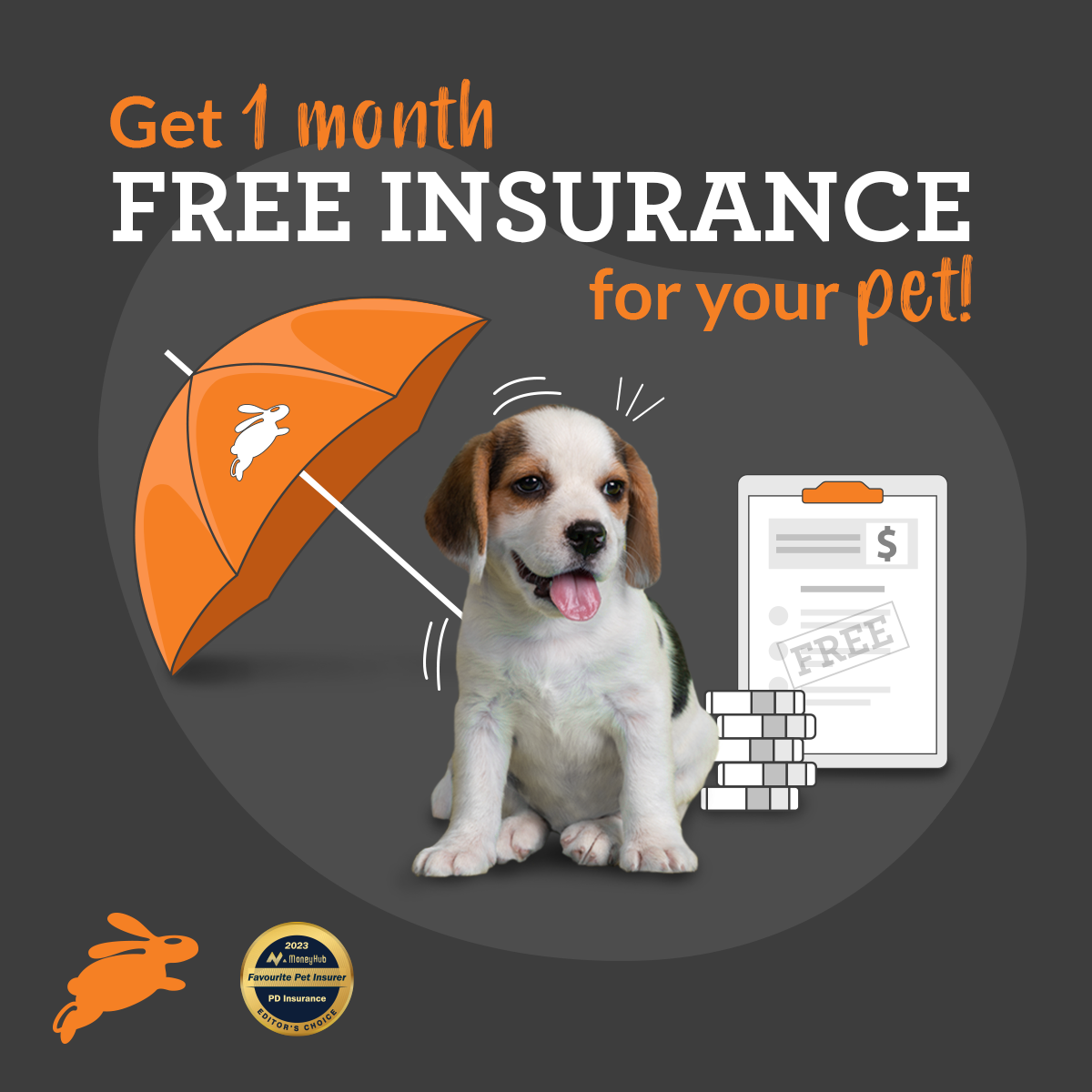 PD Insurance NZ Facebook ad
