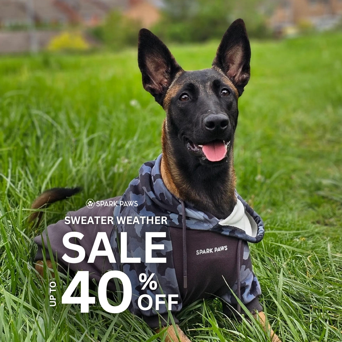 Spark Paws Facebook ad