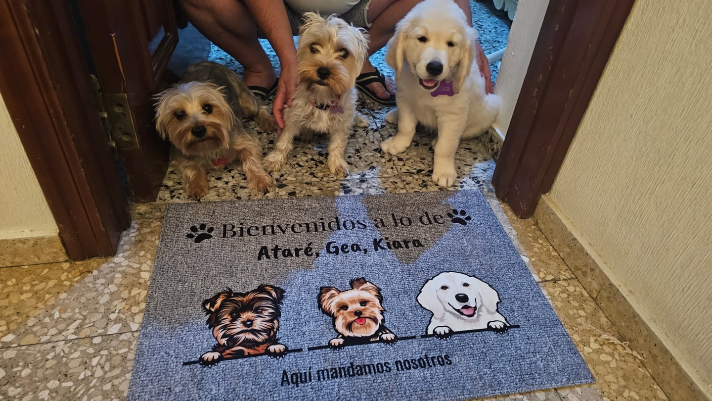 Pet Printed Facebook ad: Felpudo personalizado