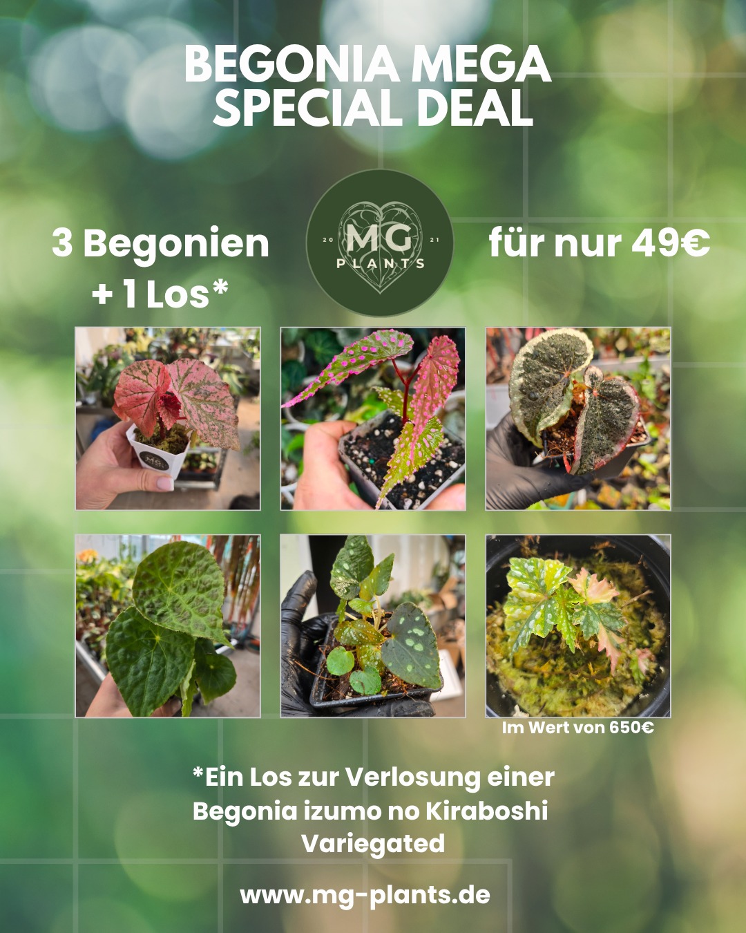 MG Plants Store Facebook ad: Seltene Zimmerpflanzen kaufen | MG Plants Bonn