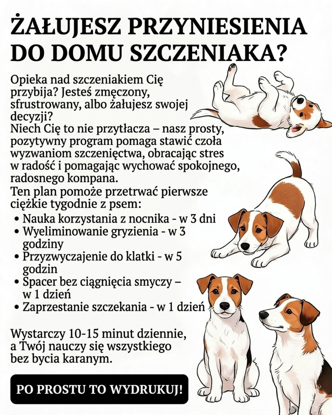 Jake Collins Facebook ad: Trenuj swojego szczeniaka z aplikacją #1!