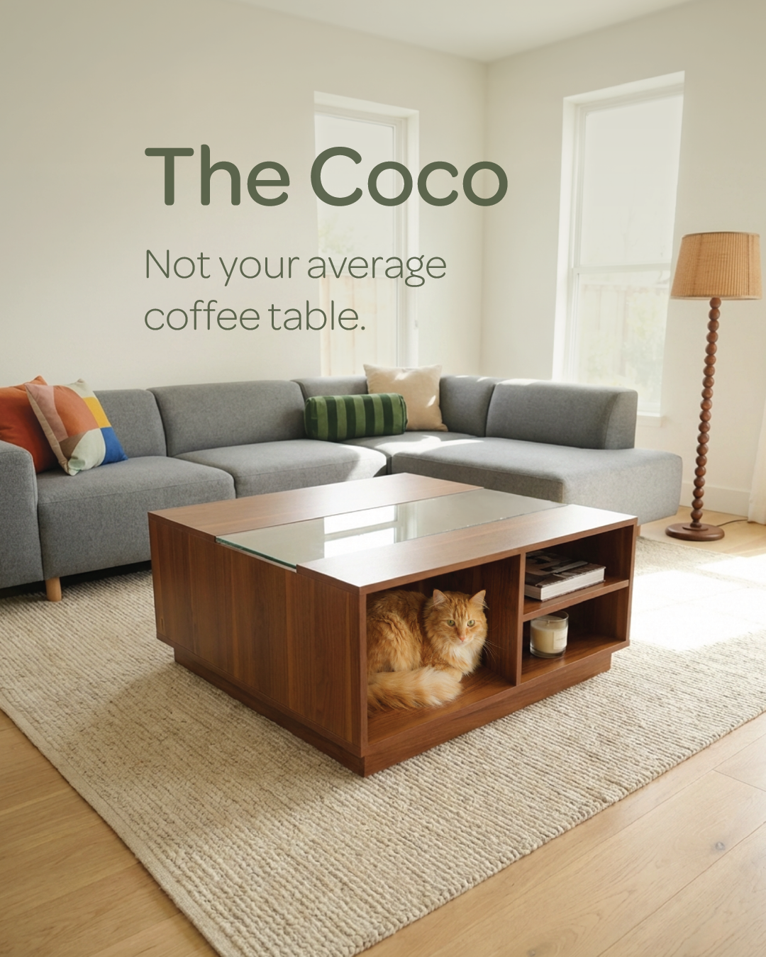 4 Cats & Dogs Home Furnishings Facebook ad