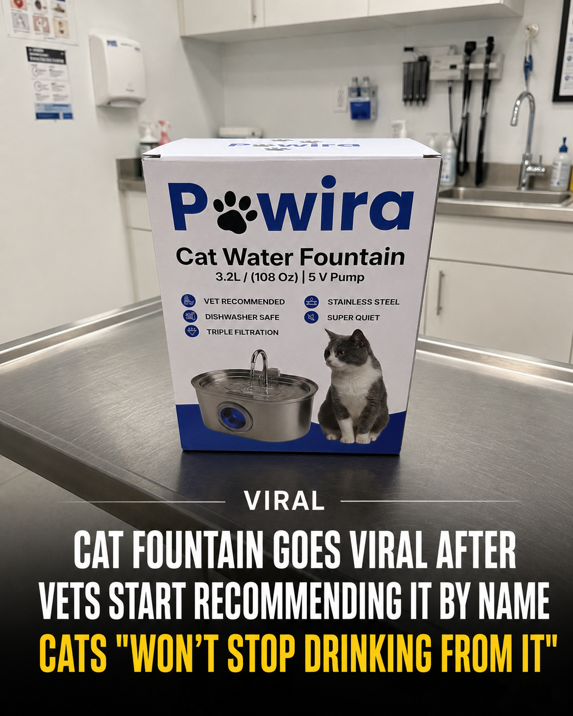 Cat Care Daily Facebook ad