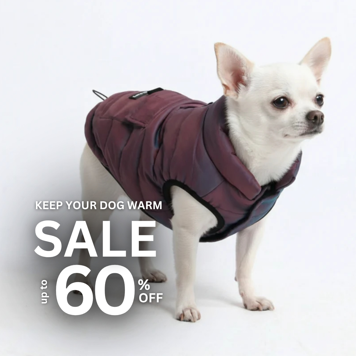Spark Paws Facebook ad