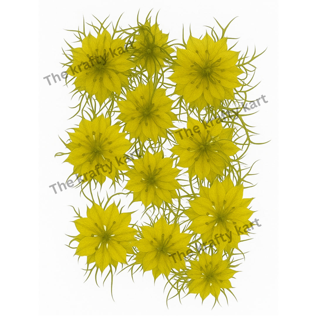 thekrafty_kart Facebook ad: Make Your Art Bloom with Beautiful Dried Flowers!