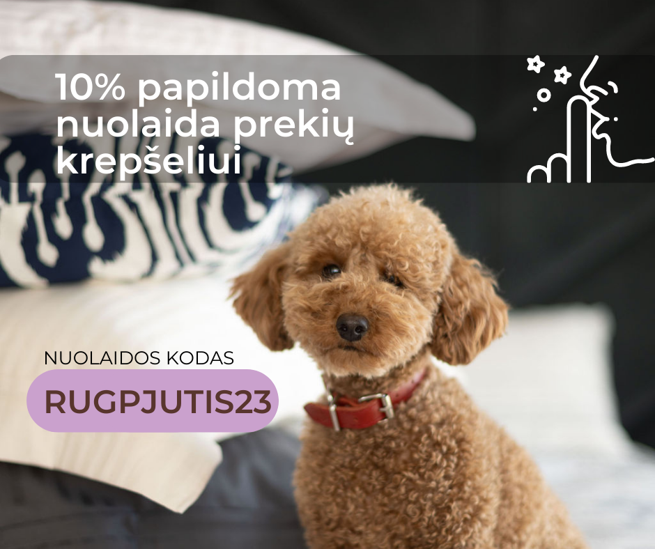 Vilnos Namai Jums - Woolland.lt Facebook ad