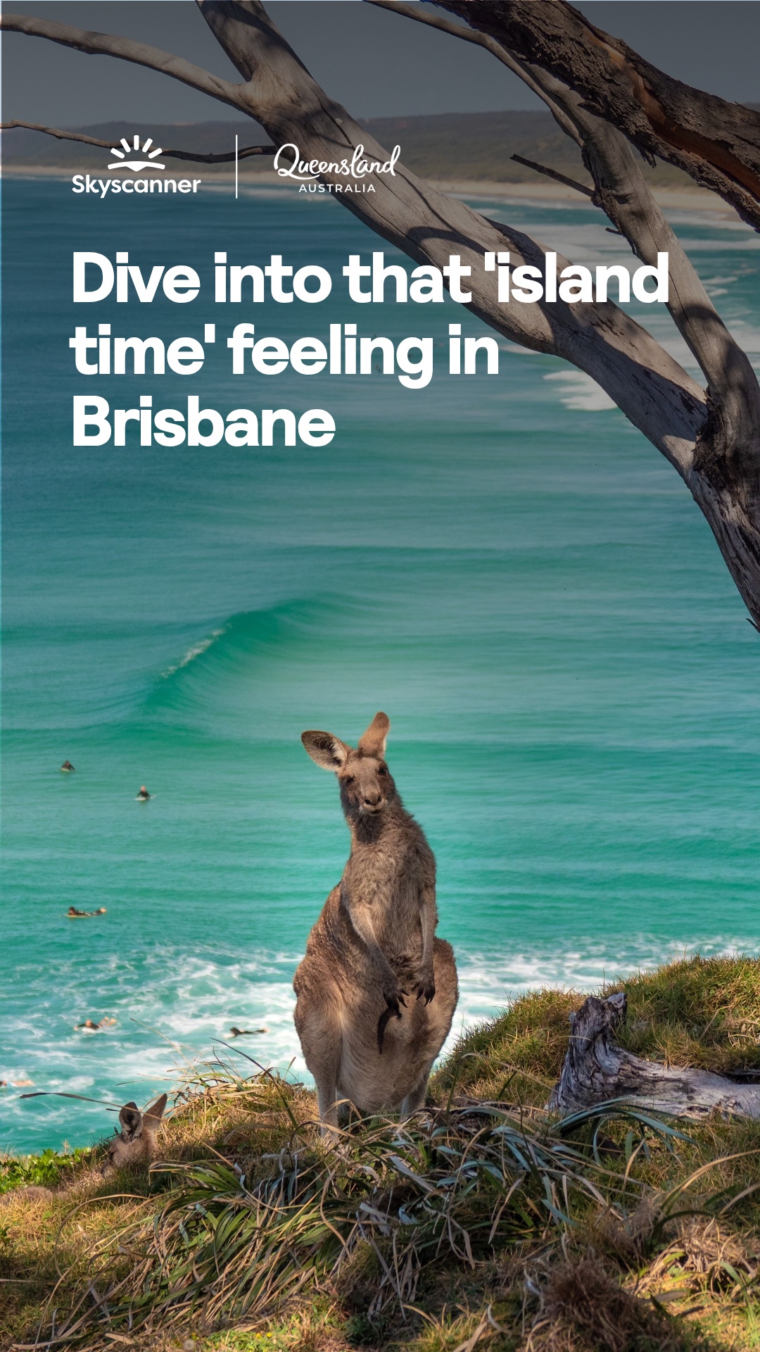 Skyscanner Facebook ad