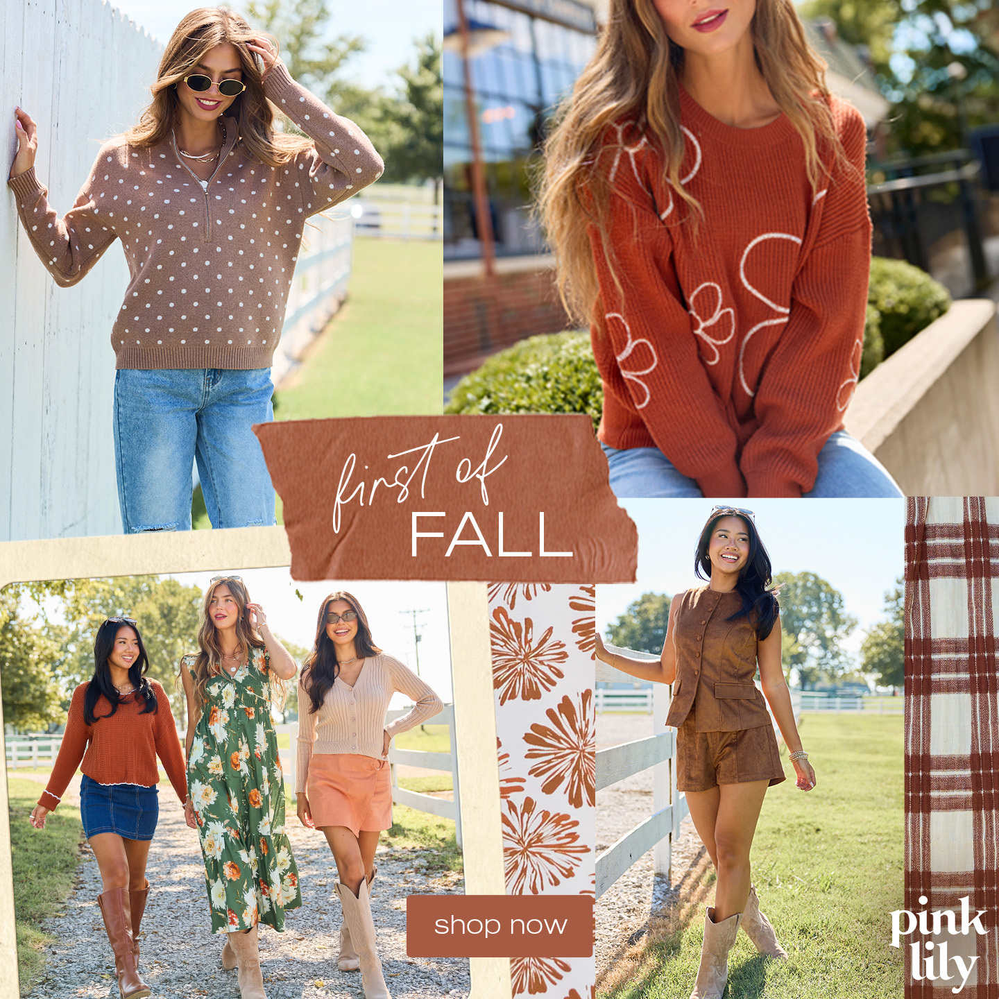 Pink Lily Facebook ad: Shop Fall Favorites