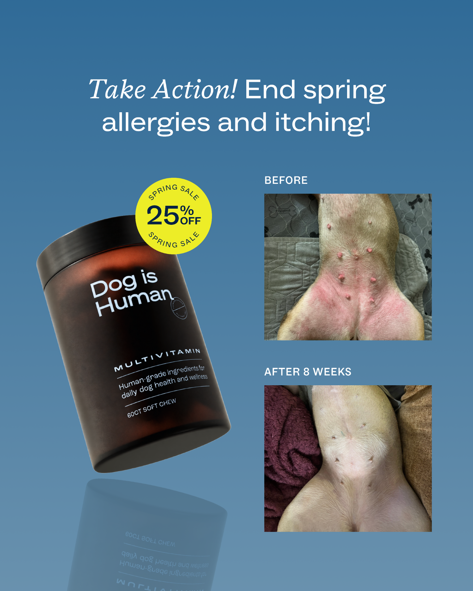 Dog is Human Facebook ad