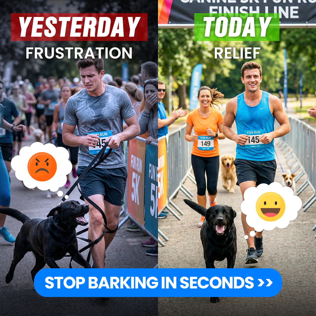 Mike James Dog Training Facebook ad